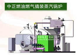 中正撬裝蒸汽鍋爐系統在中國的優勢是顯著的，并成功進入海外市場